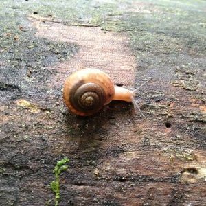 Meet your Posher, Geena